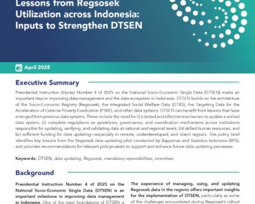 Lessons from Regsosek Utilization across Indonesia: Inputs to Strengthen DTSEN