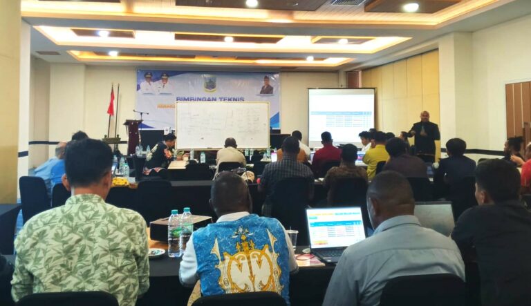 Papua Tengah Tunjukkan Komitmen Akselerasi Standar Pelayanan Minimal
