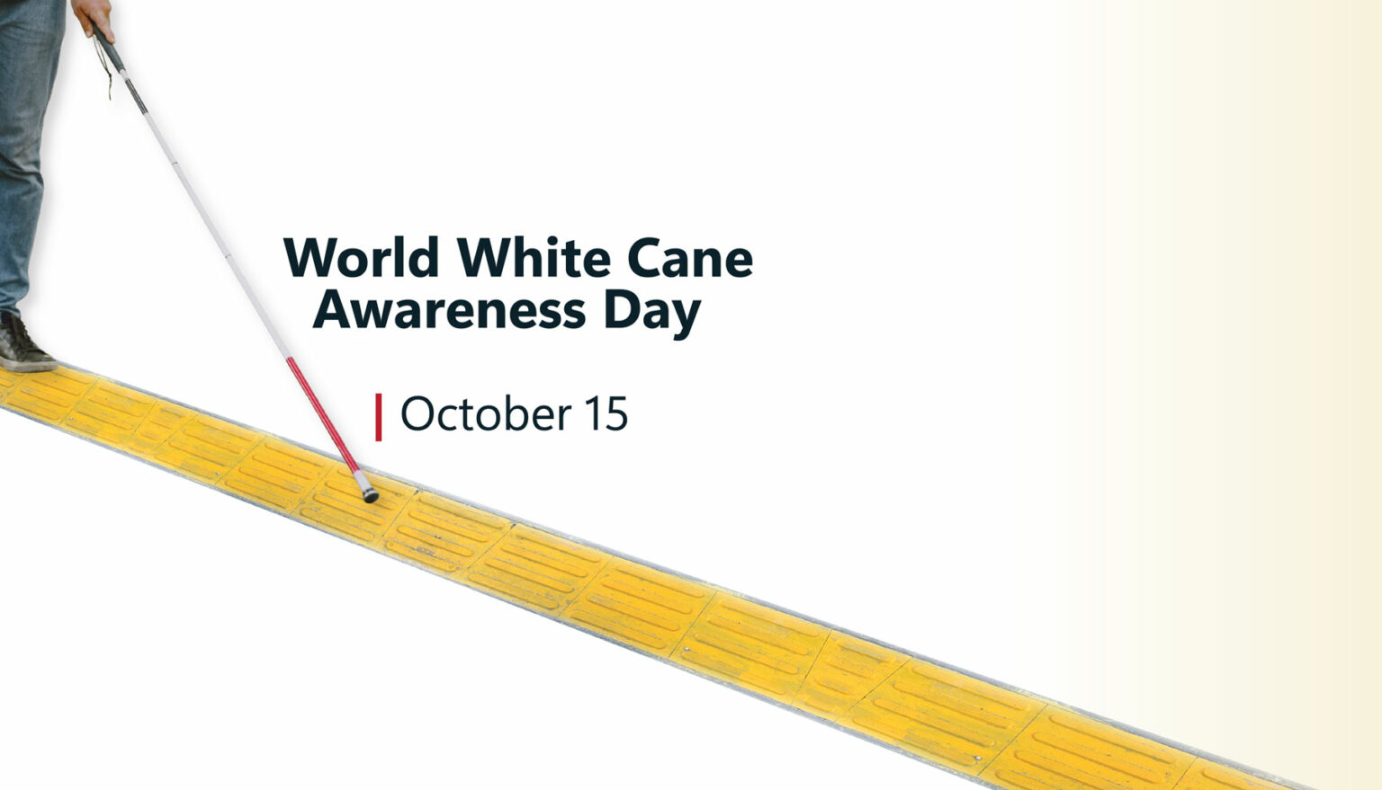 World whitte cane awareness day